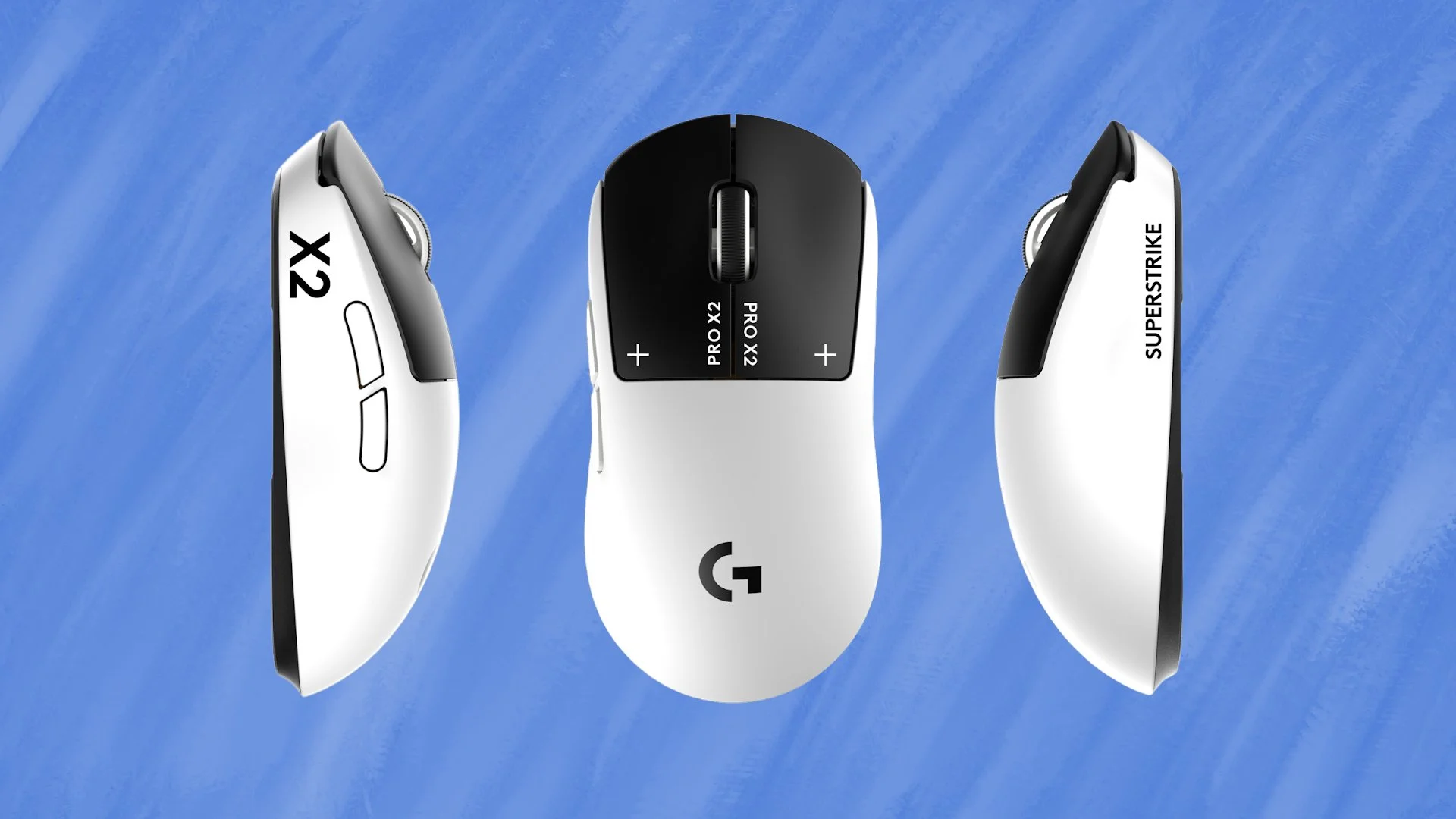 Mouse